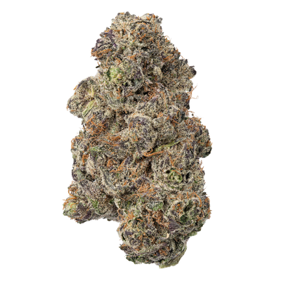 WNC THCA Indoor Living Soil Flower | Daiquiri | Close View of Bud