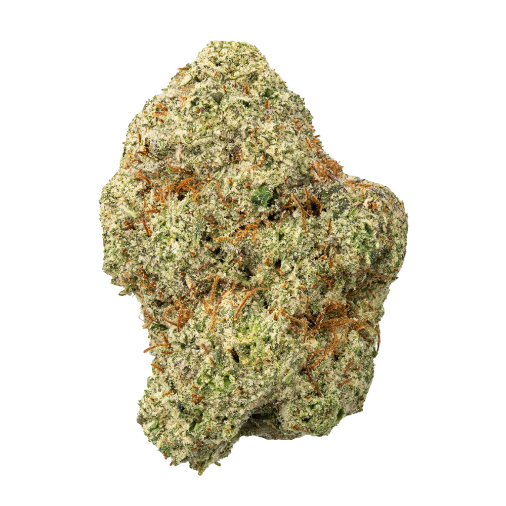 WNC THCA Indoor Living Soil Flower | Greasy Runtz | Close View of Bud