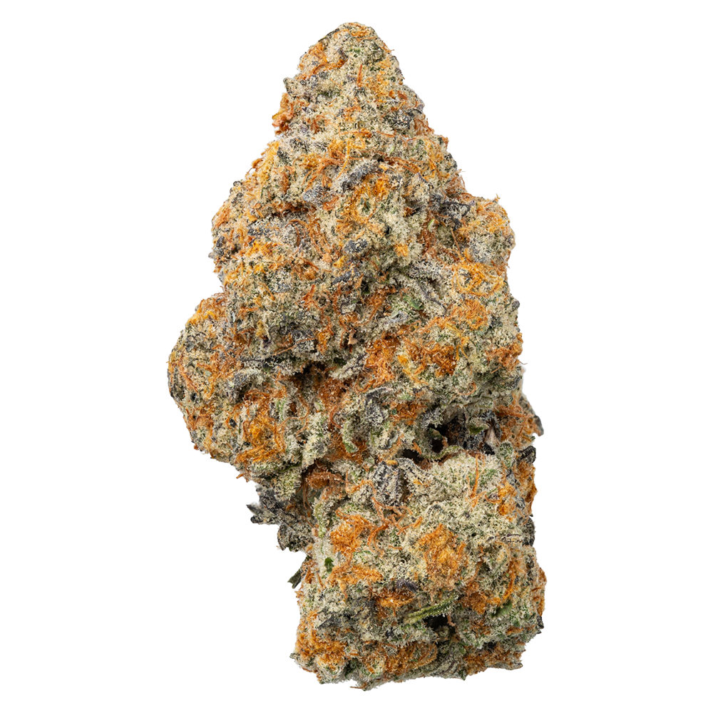 WNC THCA Indoor Living Soil Flower | Lobster Butter | Bud Close View