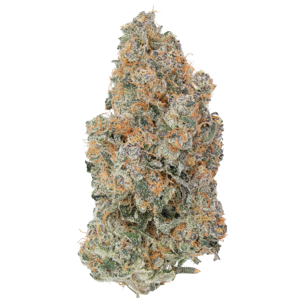 WNC THCA Indoor Living Soil Flower | Peaches & Cream | Close View of Bud