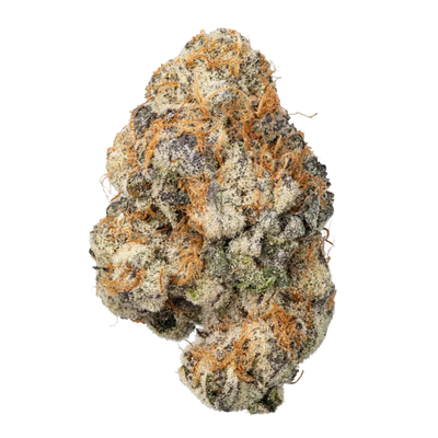 WNC THCA Indoor Living Soil Flower | Pineapple OG | Close View of Bud