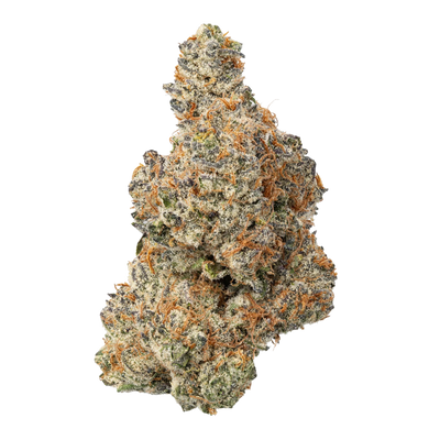 WNC THCA Indoor Living Soil Flower | Sherbz | Close View of Bud