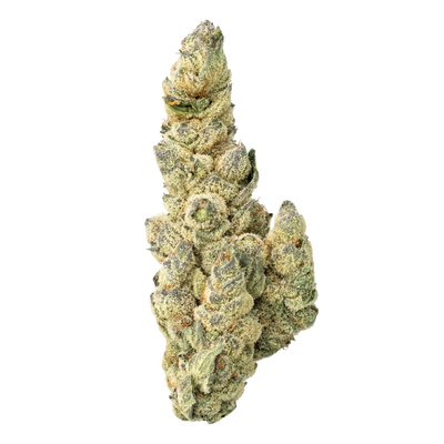 WNC THCA Indoor Living Soil Flower | Sour Diesel | Close View of Bud