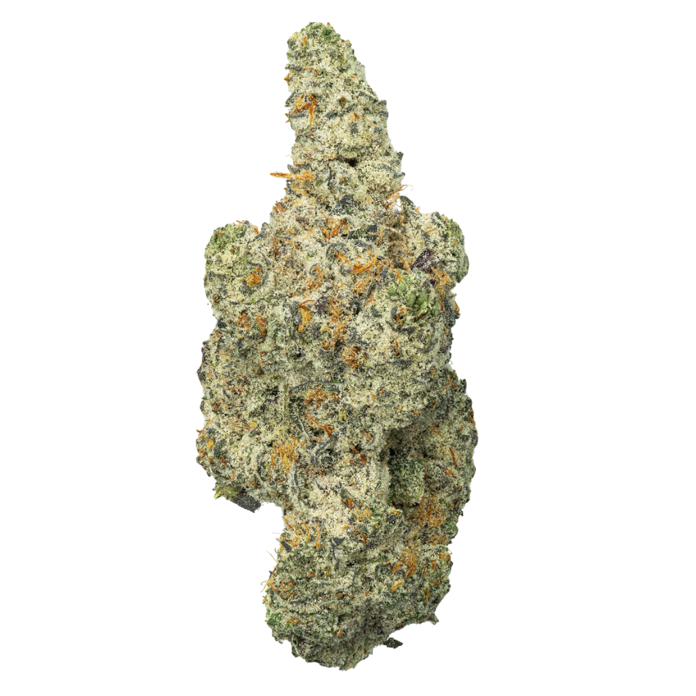 WNC THCA Indoor Living Soil Flower | Street Guru | Close View of Bud