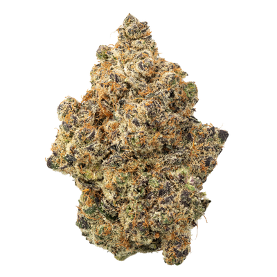 WNC THCA Indoor Living Soil Flower | Super Bad | Close View of Bud