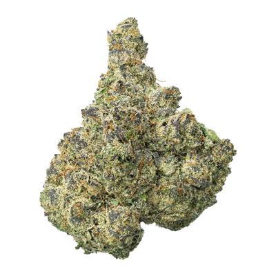 WNC THCA Indoor Living Soil Flower | Tamalez | Bud Close View